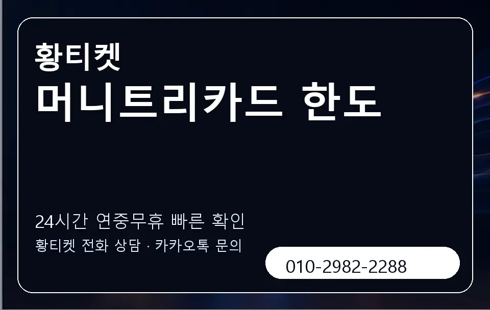 머니트리카드 한도 황티켓 캐러셀 2