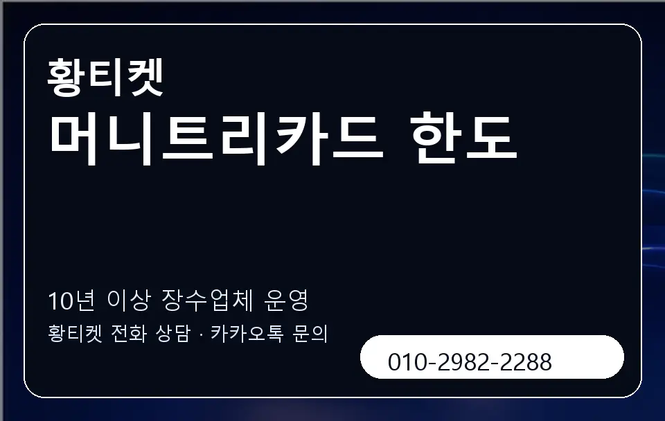 머니트리카드 한도 황티켓 캐러셀 5