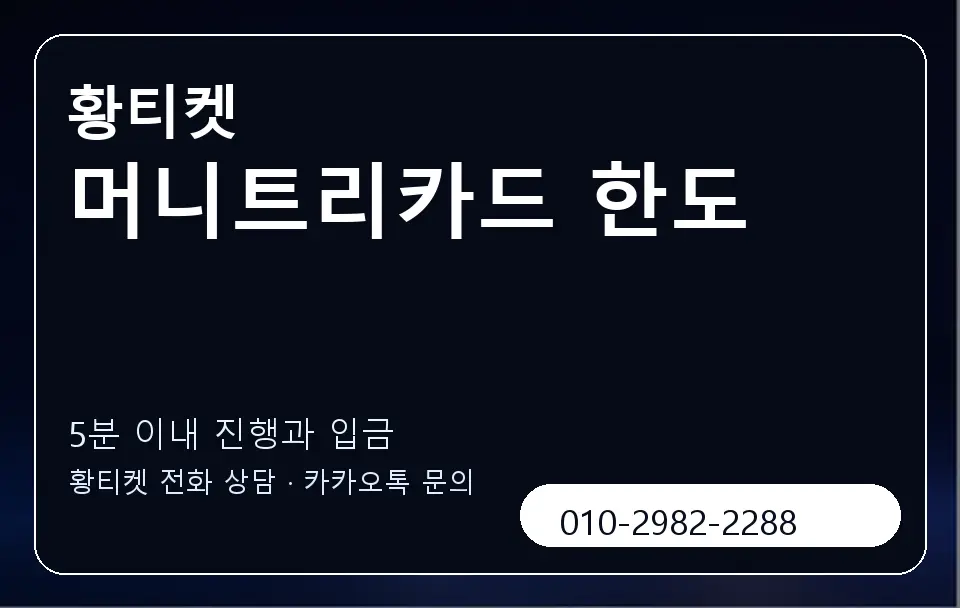 머니트리카드 한도 황티켓 캐러셀 6