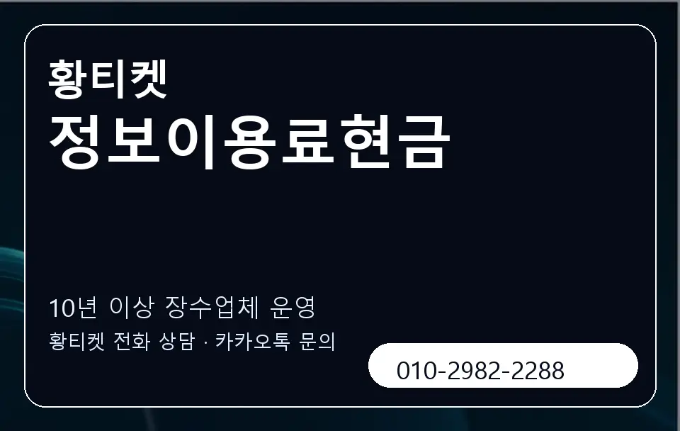정보이용료현금 황티켓 캐러셀 5