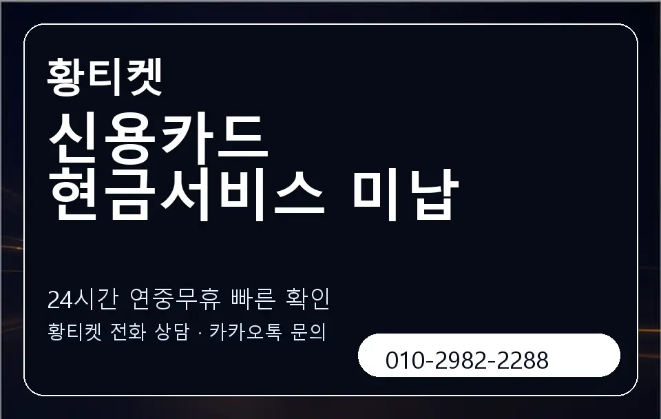 신용카드 현금서비스 미납 황티켓 캐러셀 2