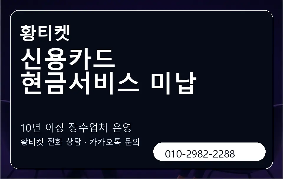 신용카드 현금서비스 미납 황티켓 캐러셀 5