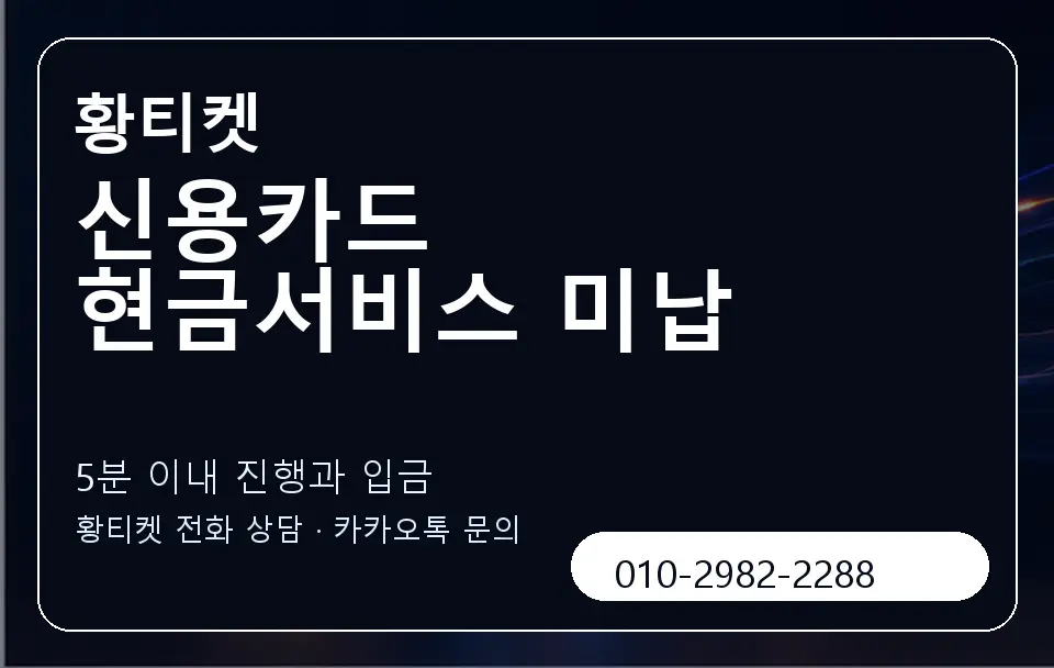 신용카드 현금서비스 미납 황티켓 캐러셀 6