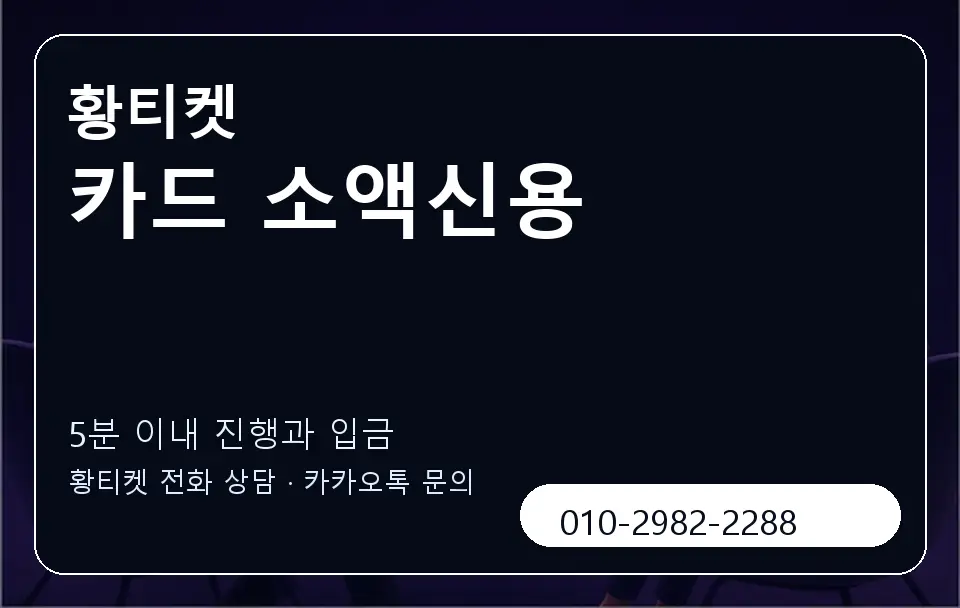 카드 소액신용 황티켓 캐러셀 6