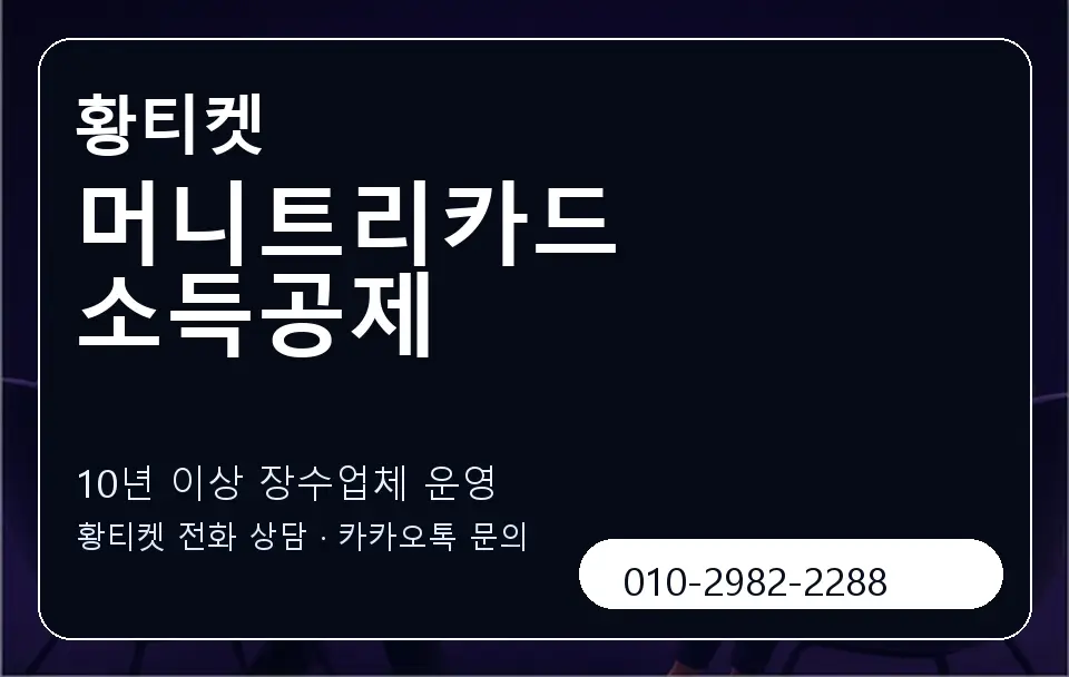 머니트리카드 소득공제 황티켓 캐러셀 5