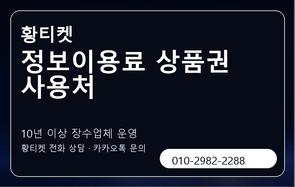 정보이용료 상품권 사용처 황티켓 캐러셀 5