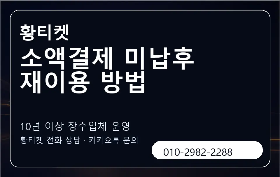 소액결제 미납후 재이용 방법 황티켓 캐러셀 5