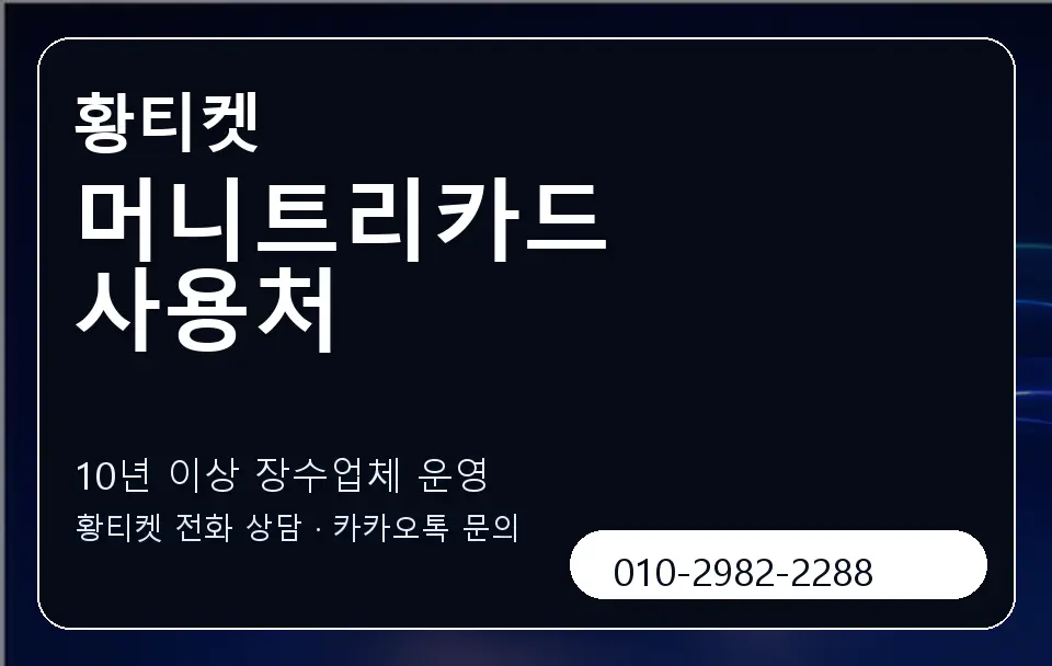 머니트리카드 사용처 황티켓 캐러셀 5