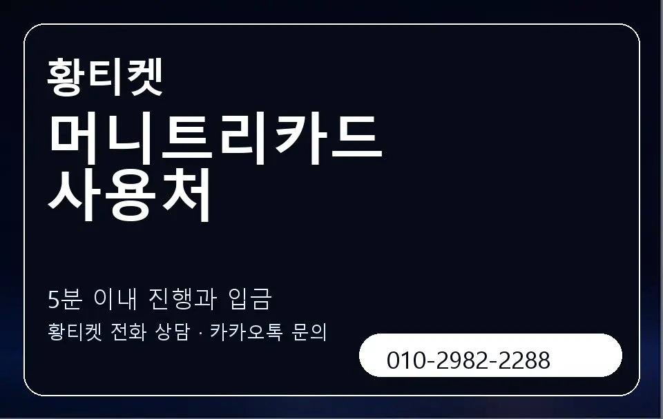 머니트리카드 사용처 황티켓 캐러셀 6