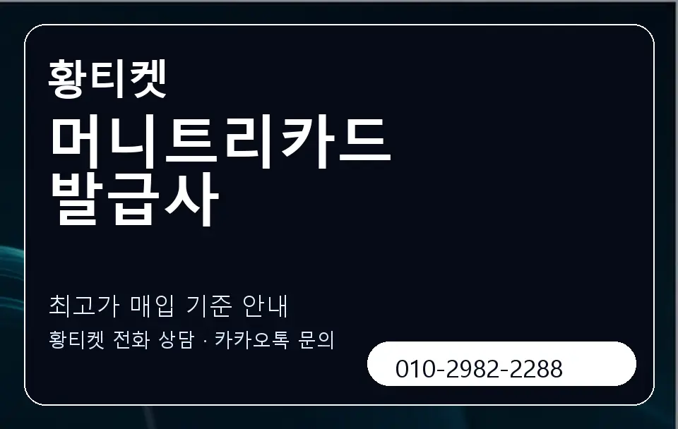 머니트리카드 발급사 황티켓 캐러셀 3