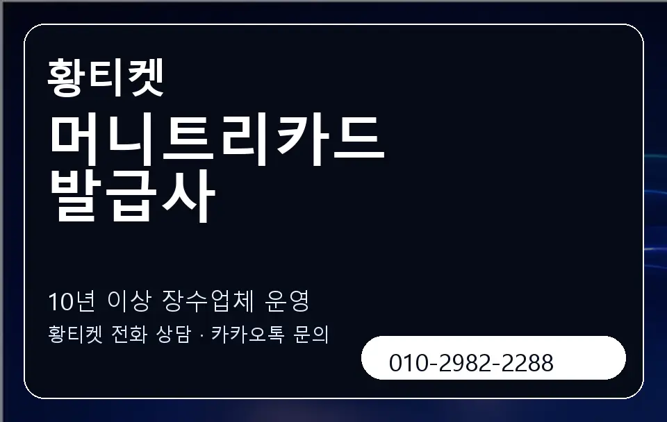 머니트리카드 발급사 황티켓 캐러셀 5