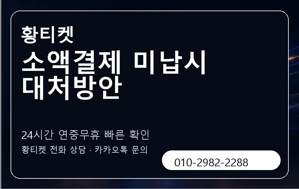 소액결제 미납시 대처방안 황티켓 캐러셀 2