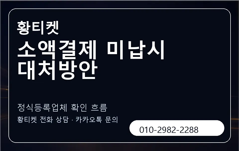 소액결제 미납시 대처방안 황티켓 캐러셀 4