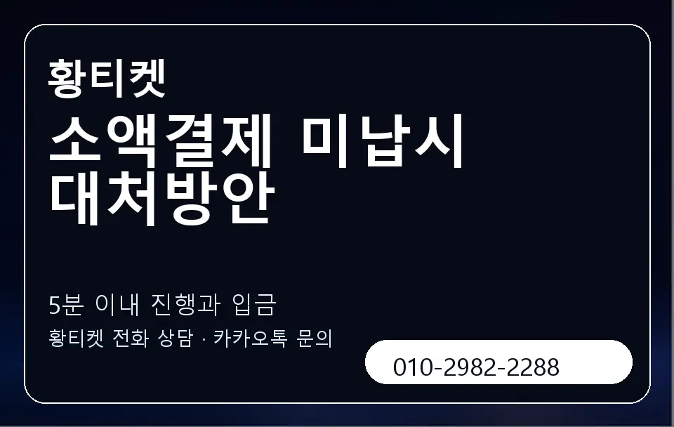 소액결제 미납시 대처방안 황티켓 캐러셀 6