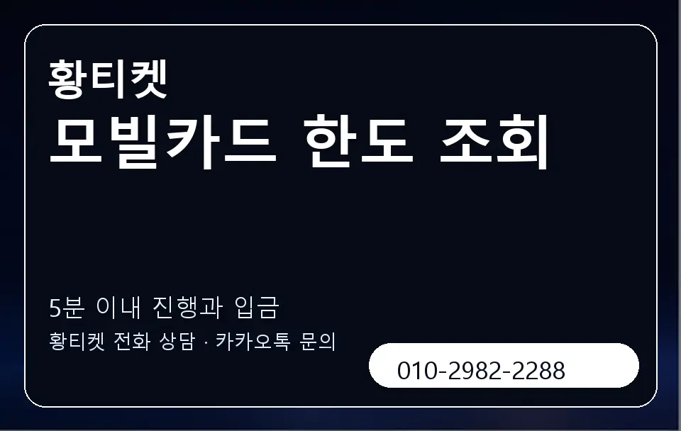 모빌카드 한도 조회 황티켓 캐러셀 6