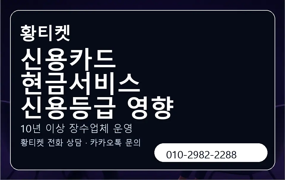 신용카드 현금서비스 신용등급 영향 황티켓 캐러셀 5