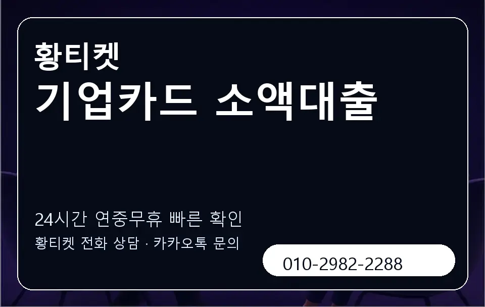 기업카드 소액대출 황티켓 캐러셀 2