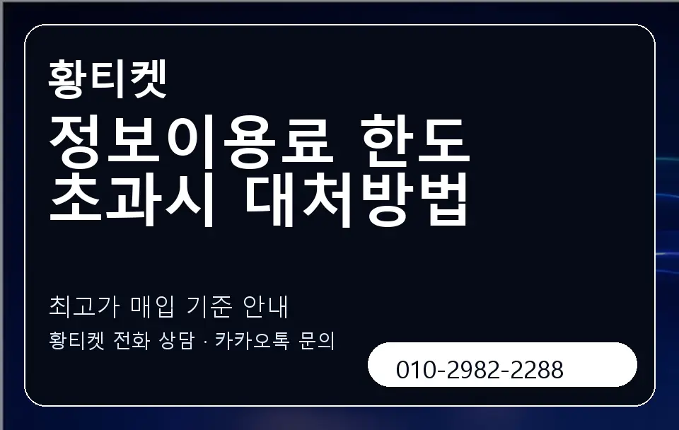 정보이용료 한도 초과시 대처방법 황티켓 캐러셀 3