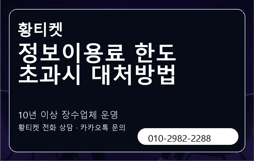 정보이용료 한도 초과시 대처방법 황티켓 캐러셀 5