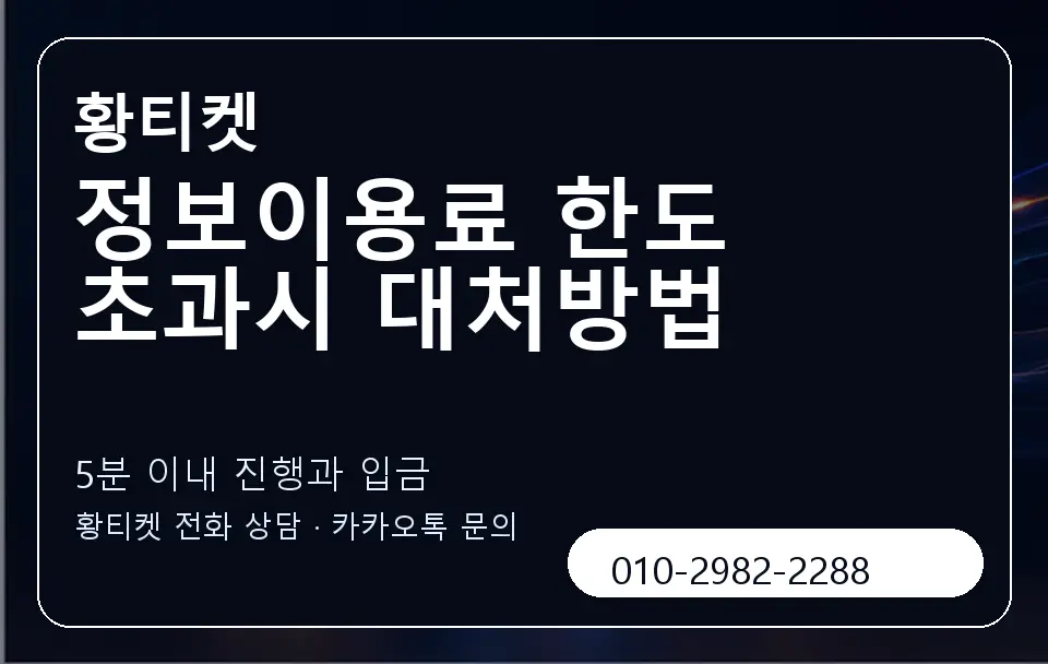 정보이용료 한도 초과시 대처방법 황티켓 캐러셀 6
