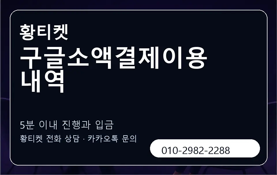구글소액결제이용내역 황티켓 캐러셀 6