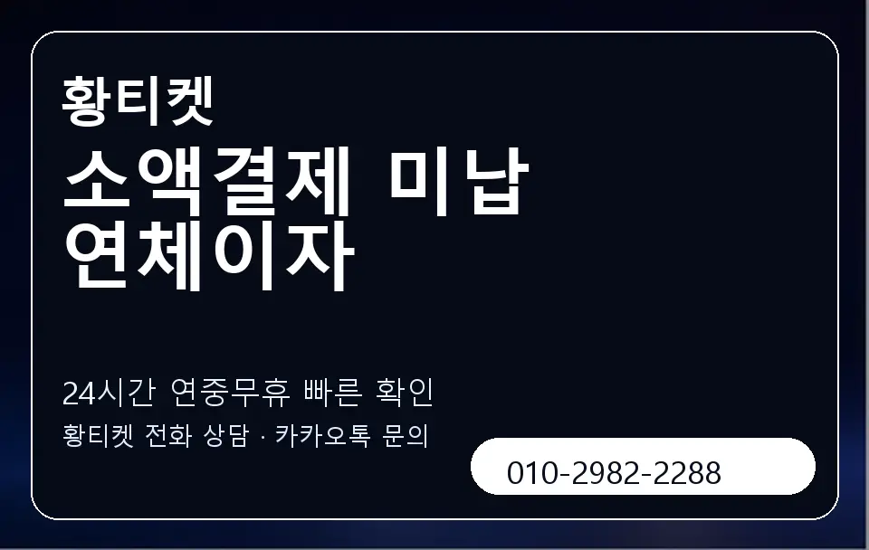 소액결제 미납 연체이자 황티켓 캐러셀 2