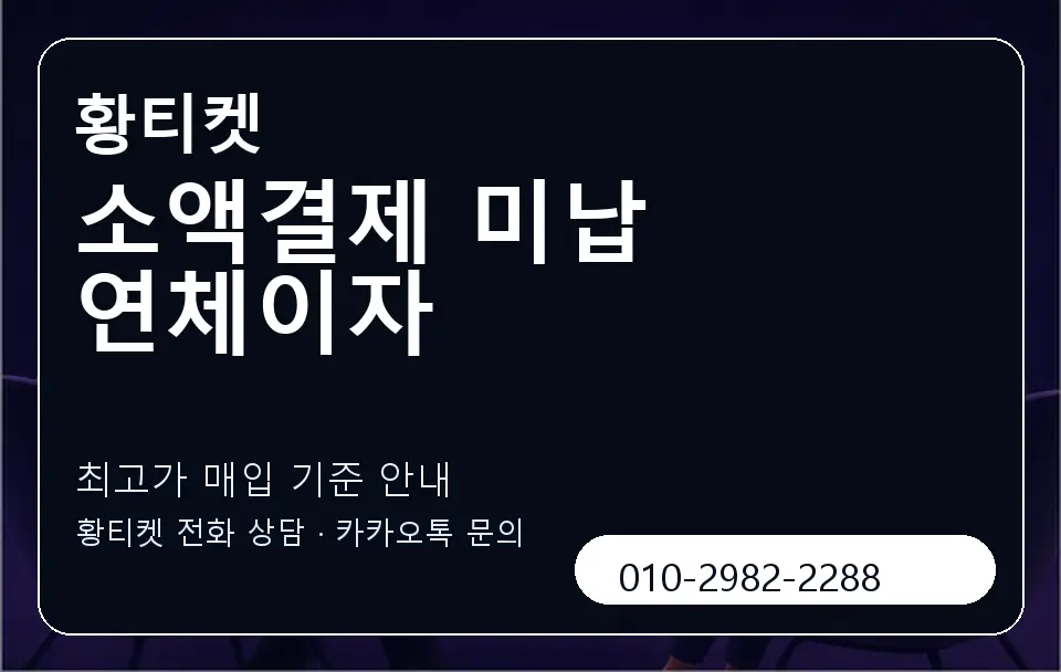 소액결제 미납 연체이자 황티켓 캐러셀 3