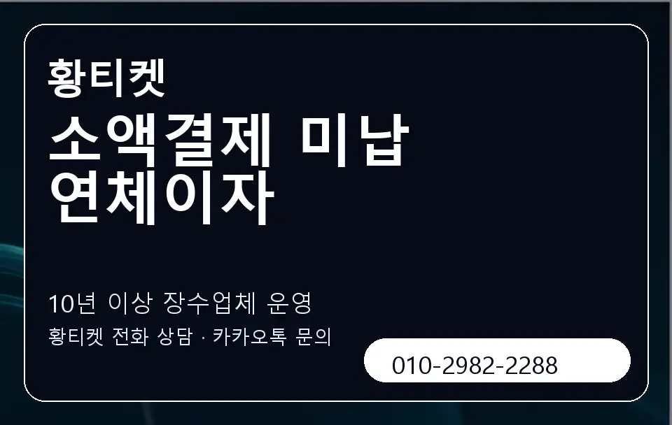 소액결제 미납 연체이자 황티켓 캐러셀 5