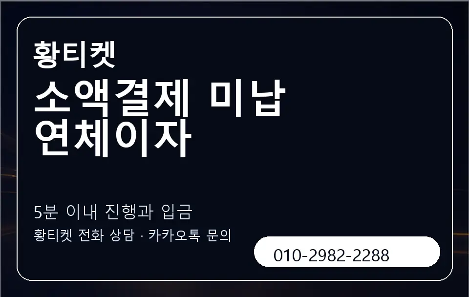 소액결제 미납 연체이자 황티켓 캐러셀 6
