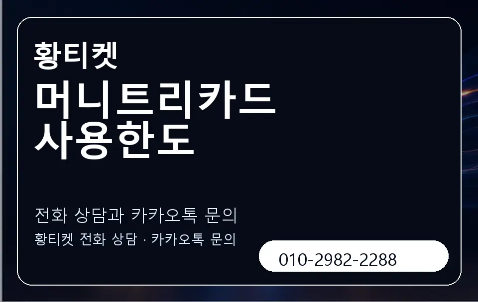 머니트리카드 사용한도 황티켓 캐러셀 1
