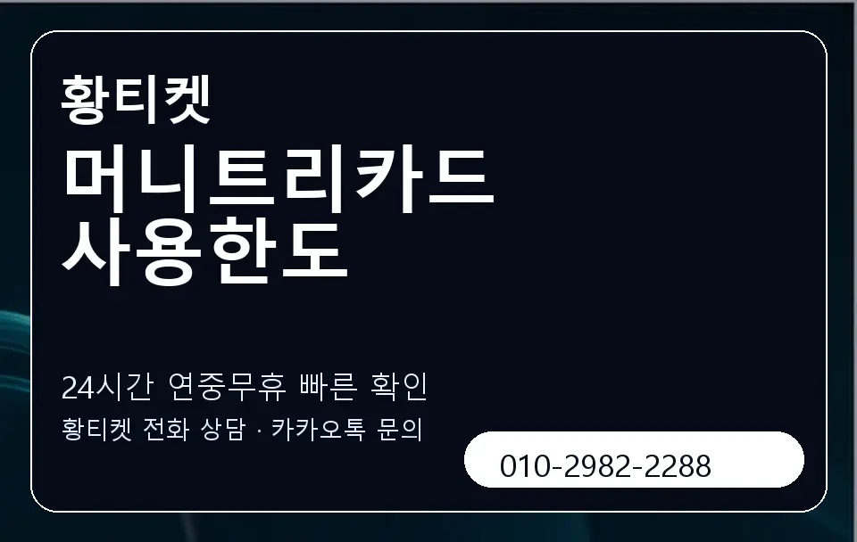 머니트리카드 사용한도 황티켓 캐러셀 2