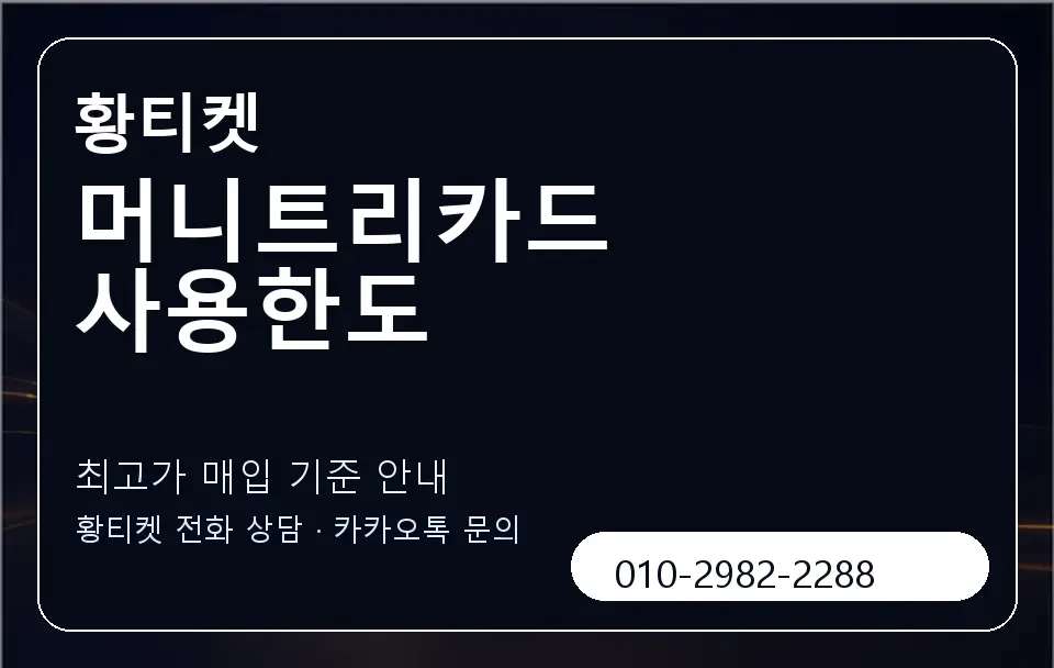 머니트리카드 사용한도 황티켓 캐러셀 3