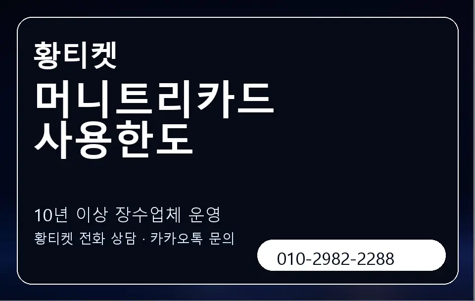 머니트리카드 사용한도 황티켓 캐러셀 5