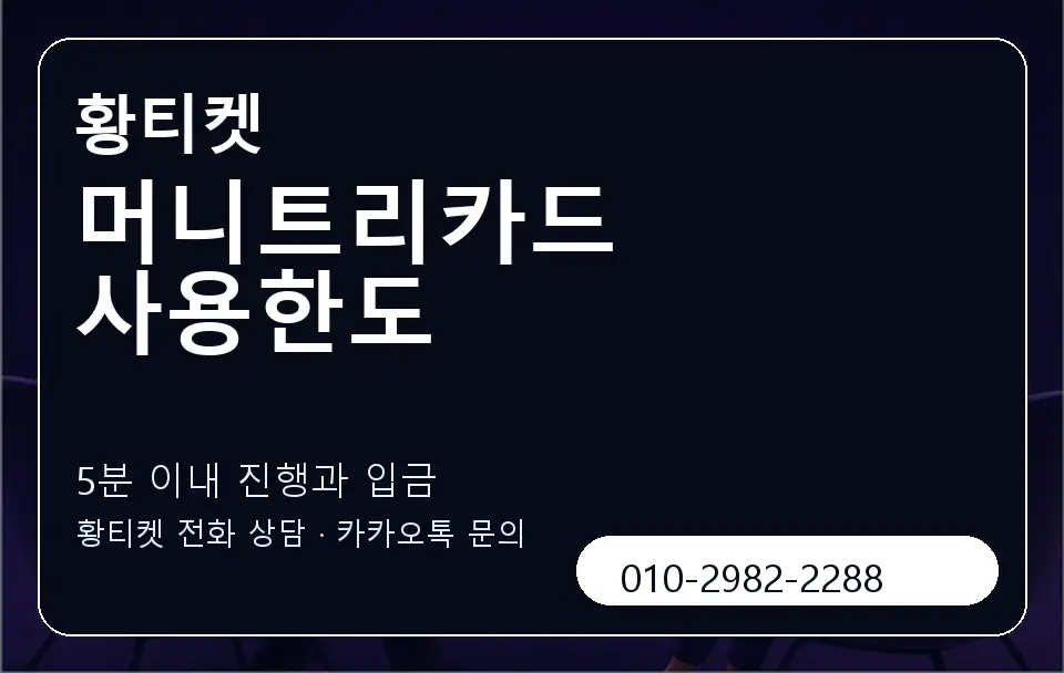머니트리카드 사용한도 황티켓 캐러셀 6