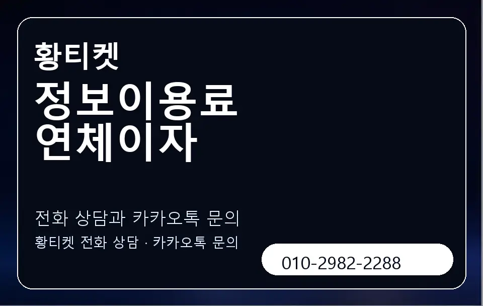 정보이용료 연체이자 황티켓 캐러셀 1