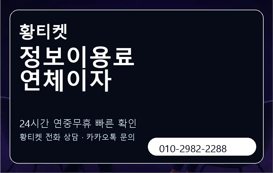 정보이용료 연체이자 황티켓 캐러셀 2