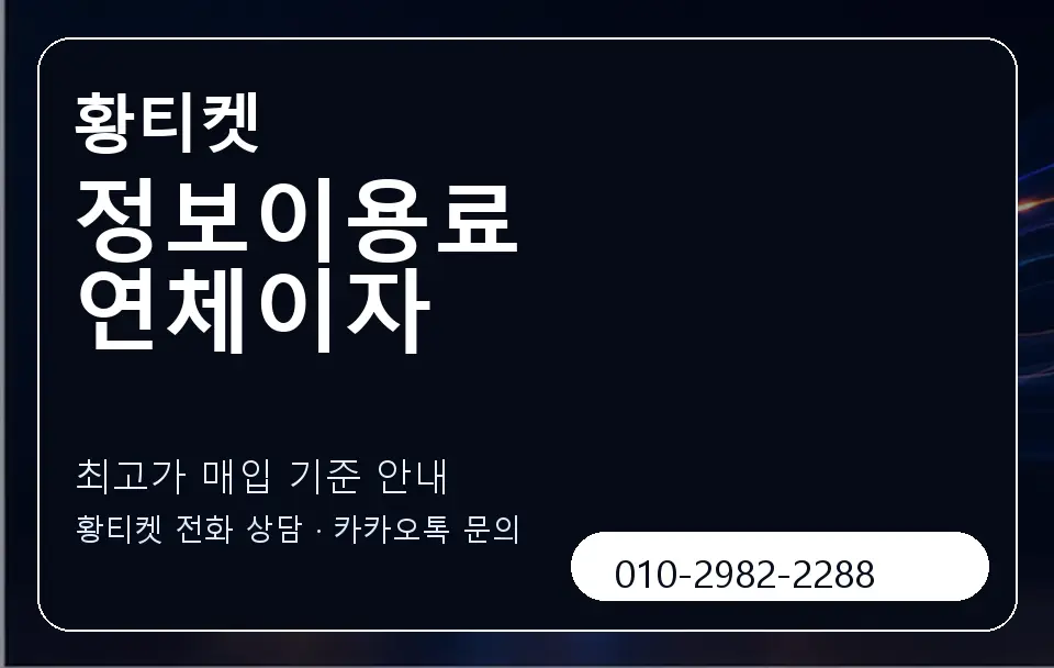 정보이용료 연체이자 황티켓 캐러셀 3