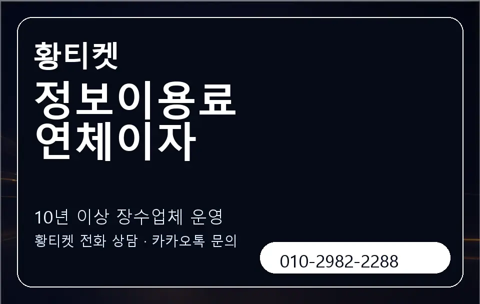 정보이용료 연체이자 황티켓 캐러셀 5