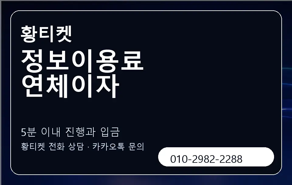 정보이용료 연체이자 황티켓 캐러셀 6