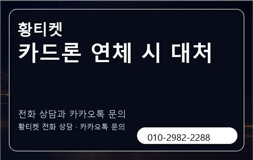 카드론 연체 시 대처 황티켓 캐러셀 1
