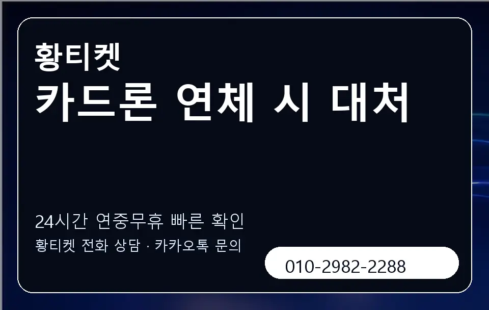 카드론 연체 시 대처 황티켓 캐러셀 2