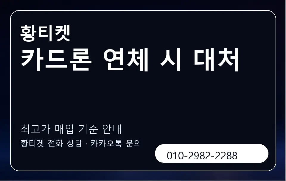 카드론 연체 시 대처 황티켓 캐러셀 3