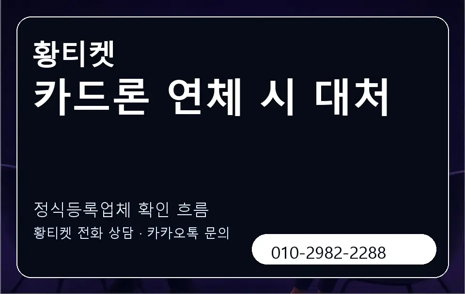카드론 연체 시 대처 황티켓 캐러셀 4