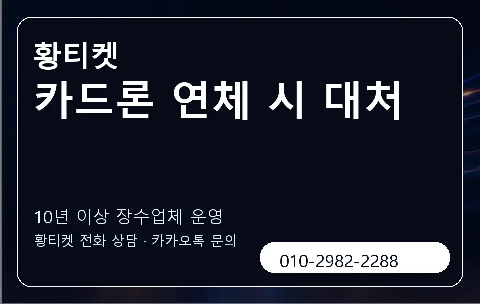 카드론 연체 시 대처 황티켓 캐러셀 5