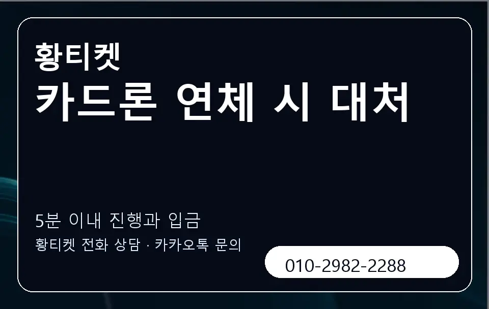 카드론 연체 시 대처 황티켓 캐러셀 6