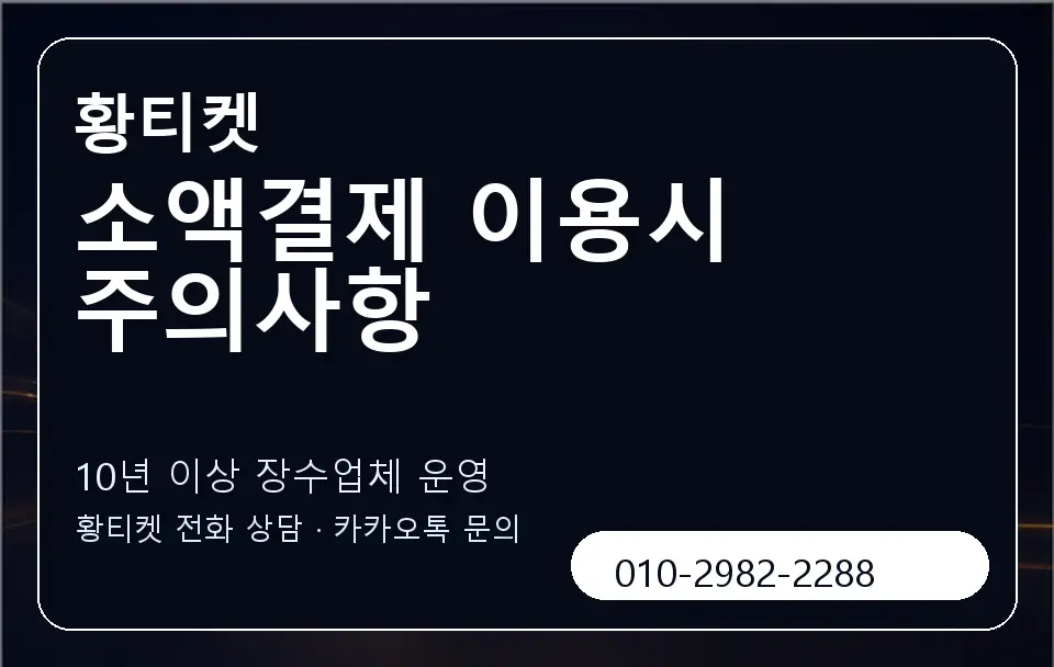 소액결제 이용시 주의사항 황티켓 캐러셀 5