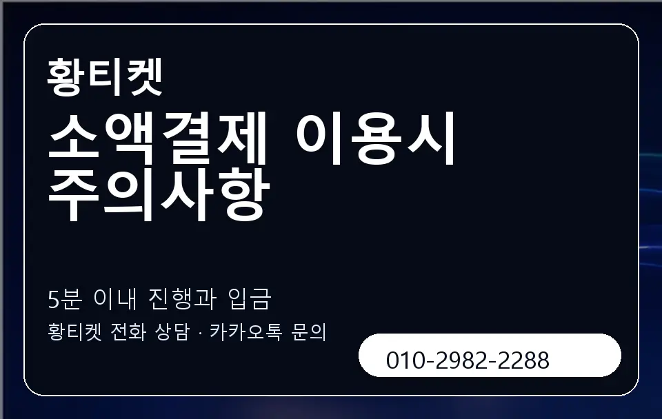 소액결제 이용시 주의사항 황티켓 캐러셀 6