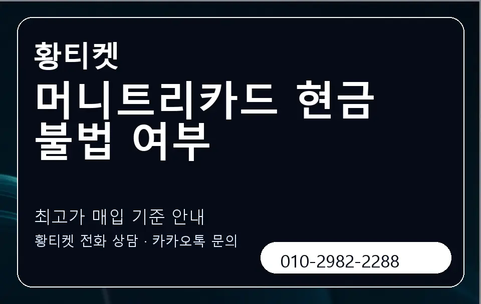머니트리카드 현금 불법 여부 황티켓 캐러셀 3