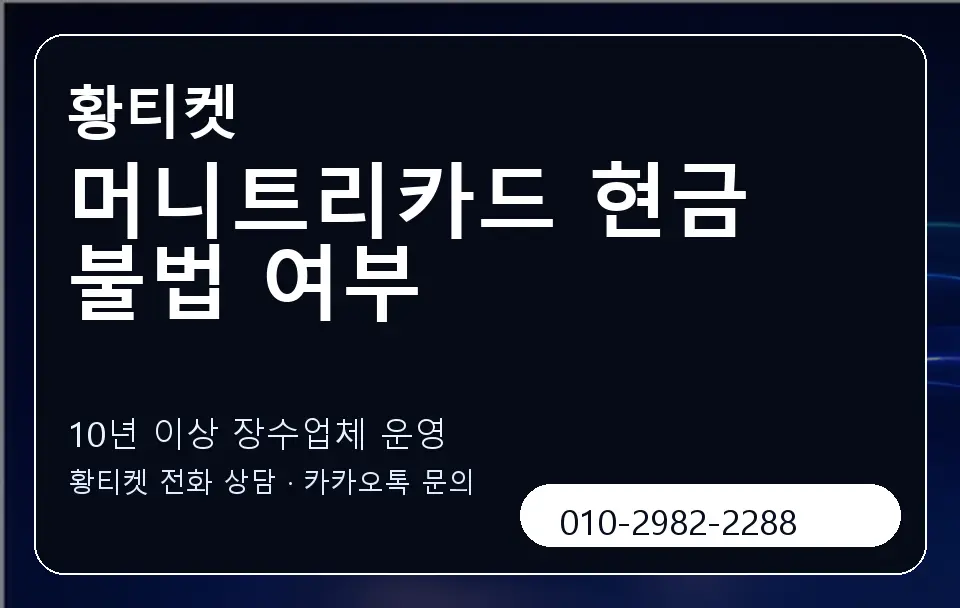 머니트리카드 현금 불법 여부 황티켓 캐러셀 5