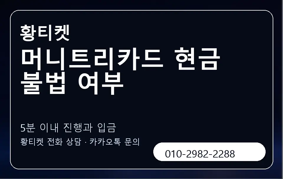 머니트리카드 현금 불법 여부 황티켓 캐러셀 6